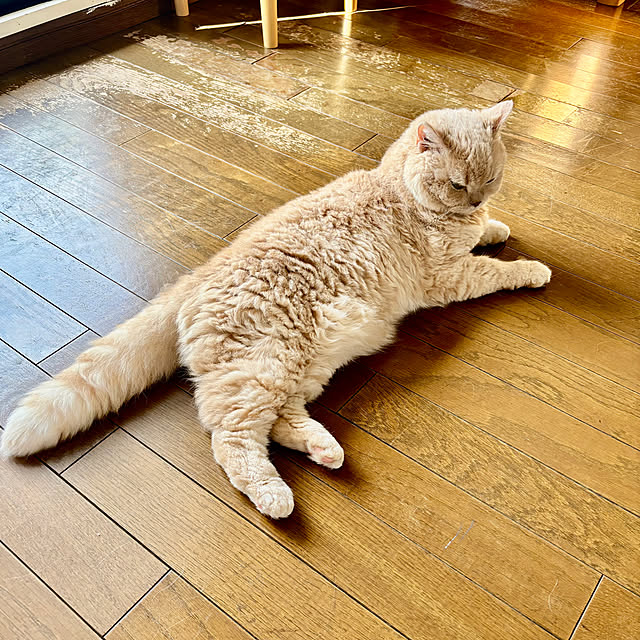naokoさんの部屋