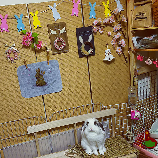 WASABIさんの実例写真