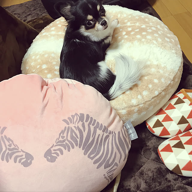 eriさんの実例写真