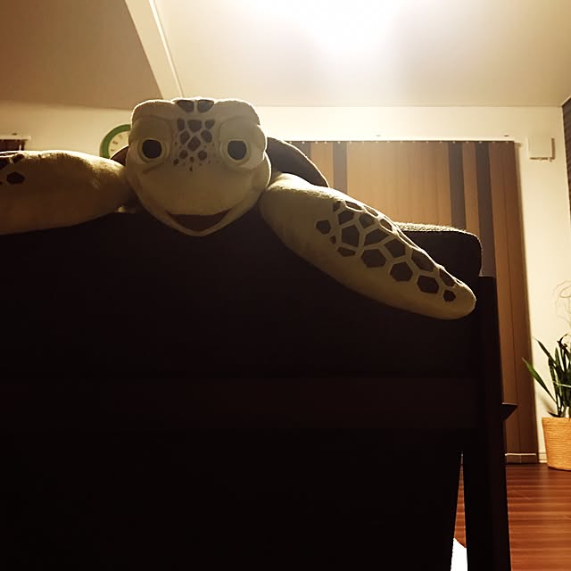 soutaichi560922さんの実例写真