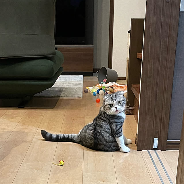 Dahliaさんの実例写真