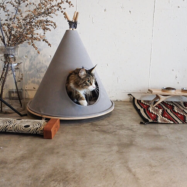 decorameowさんの実例写真