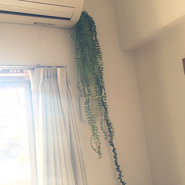 dedenshaさんの実例写真