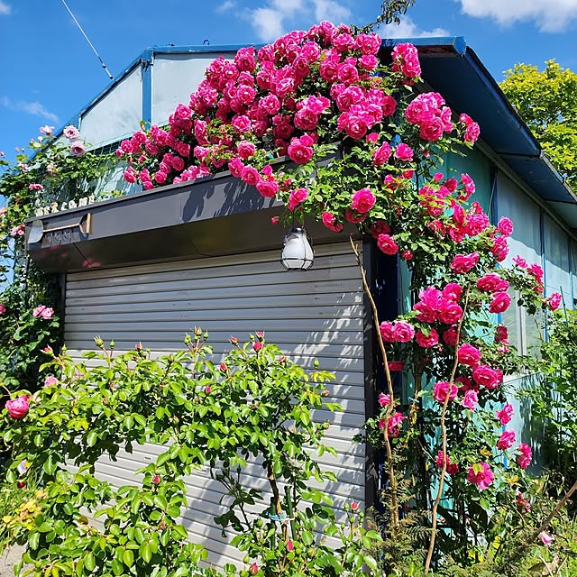 GreenHomeさんの実例写真