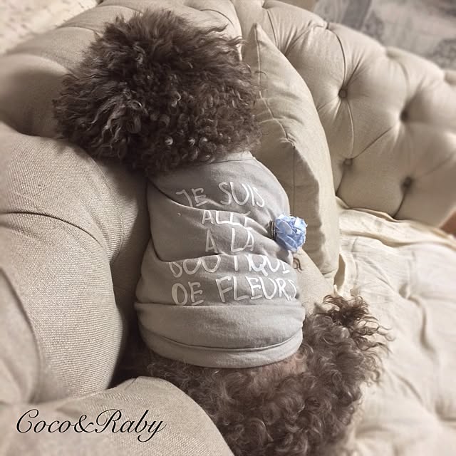 Cocoさんの実例写真