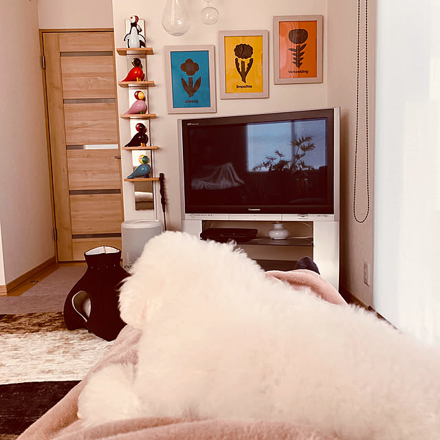 BUNさんの実例写真