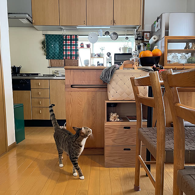 nobikoさんの実例写真