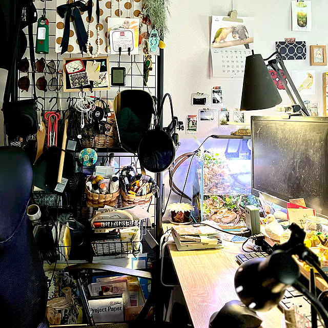 parrotさんの実例写真