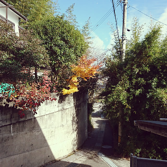 実例写真