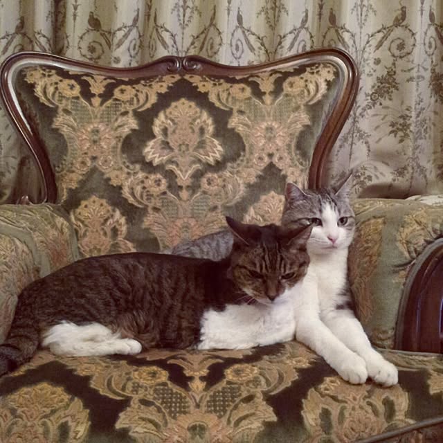 emmyyさんの実例写真