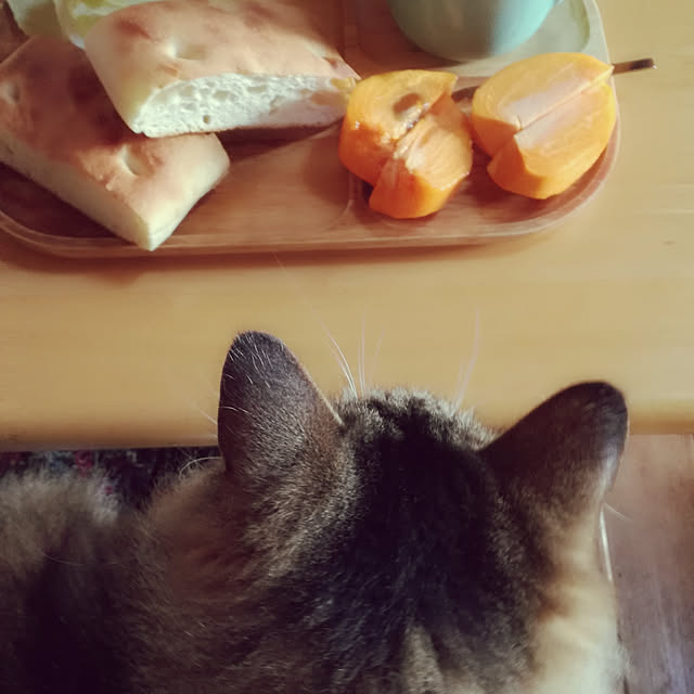 Maki-nekomamireさんの実例写真