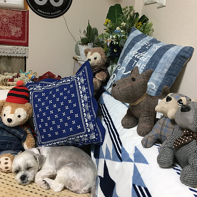 emiさんの実例写真