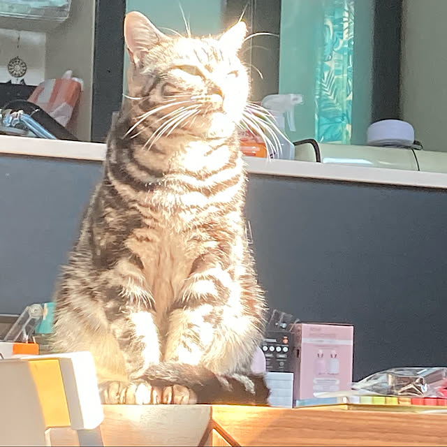r.t.mamaさんの実例写真