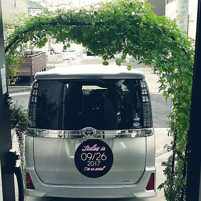 nia1213さんの実例写真