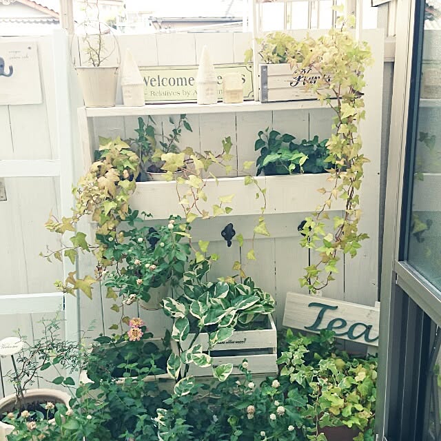M_house_officialさんの実例写真