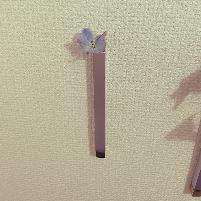 hameさんの部屋