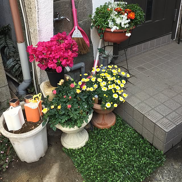 Harumiさんの実例写真