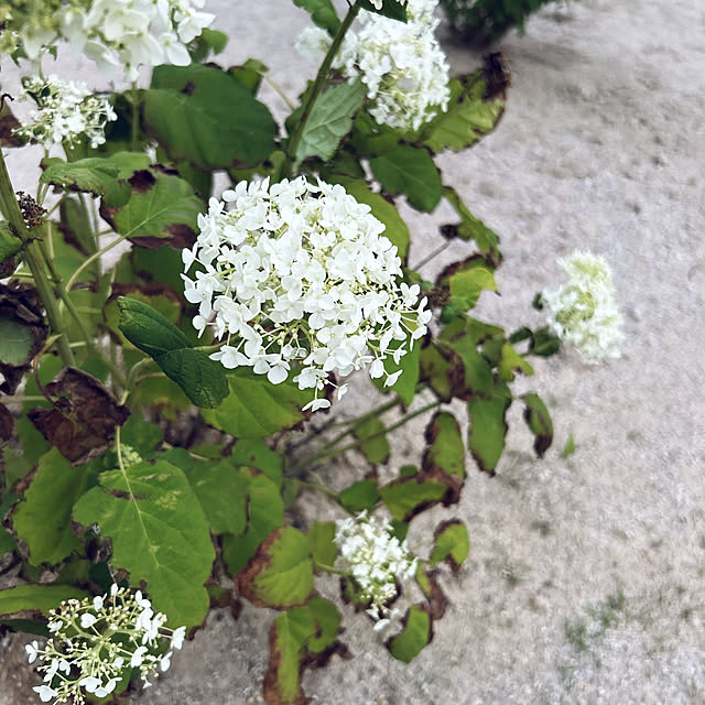 yunyumさんの部屋