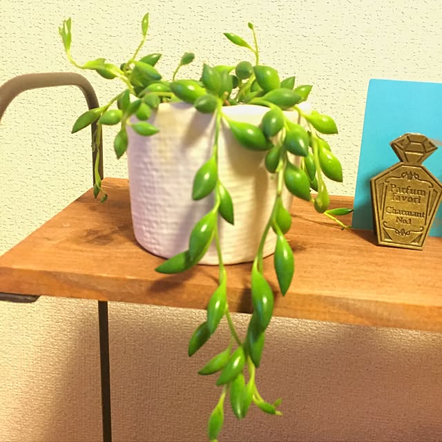 10さんの実例写真