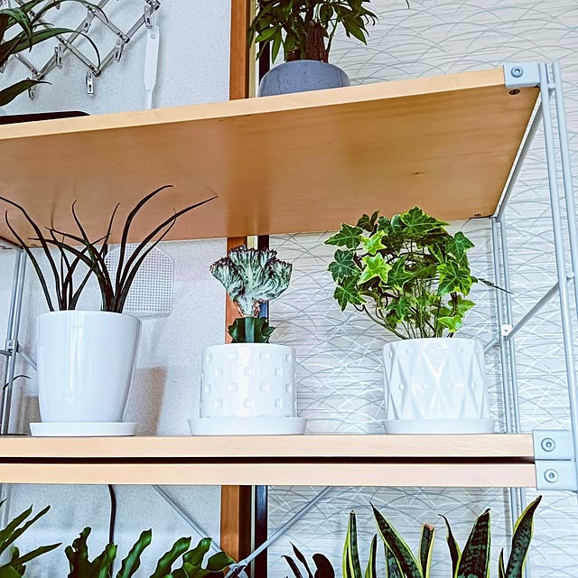 hanachanさんの部屋