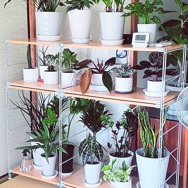 hanachanさんの実例写真