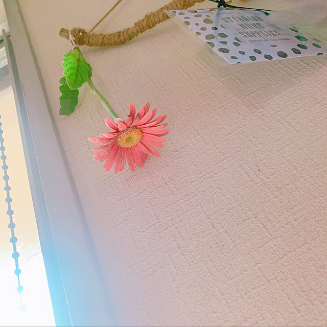totoさんの実例写真