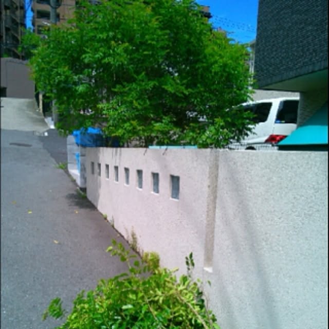 kotaさんの実例写真