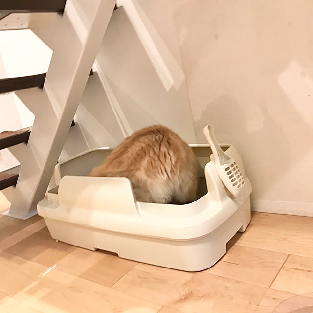 kさんの部屋