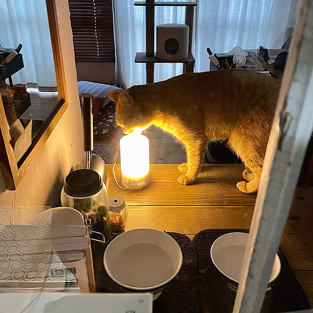 実例写真