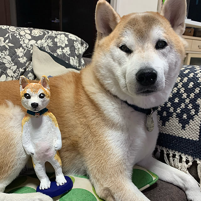 kotatsuさんの実例写真