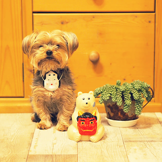misacoさんの実例写真