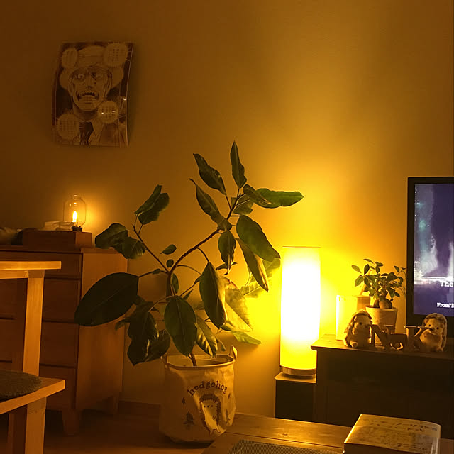 NKGardenさんの実例写真