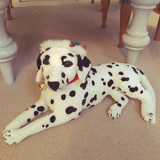 MOCOさんの実例写真