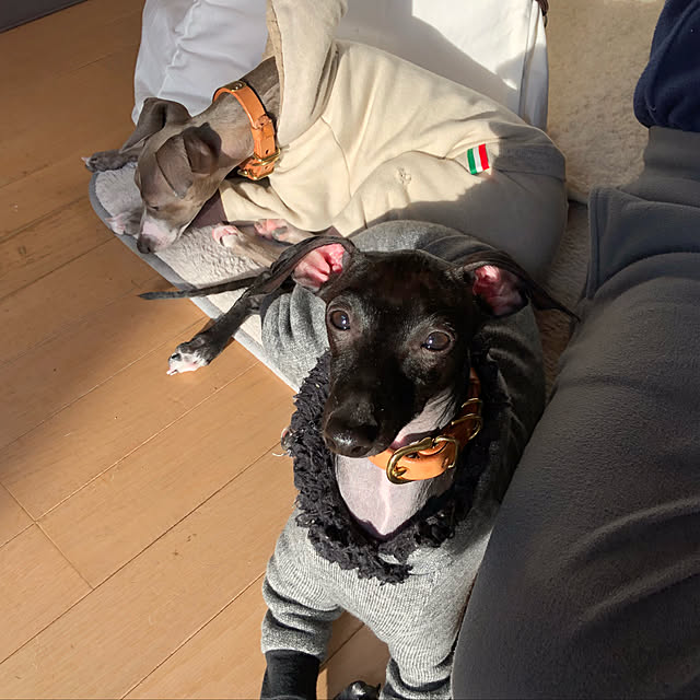 hiroさんの実例写真