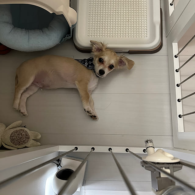 Rainyさんの部屋
