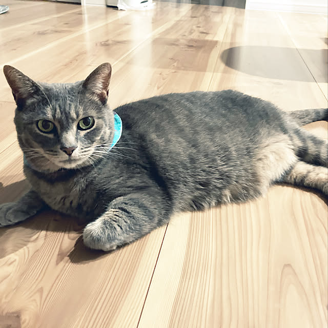 Roby1018さんの実例写真