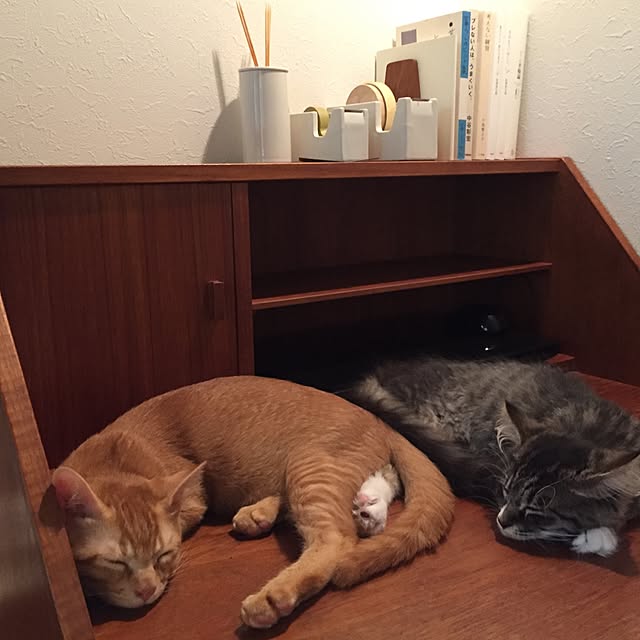 Hisashiさんの実例写真