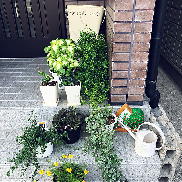 mieさんの実例写真