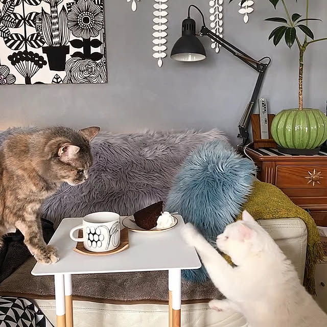 nyanko-beamさんの実例写真