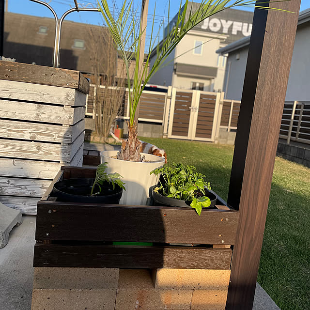 tomoさんの実例写真