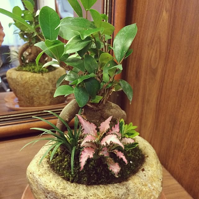 机/植物のインテリア実例 - 2014-05-13 07:37:48
