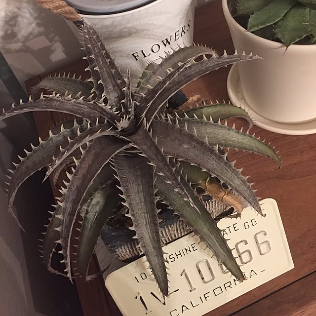 tkc034さんの実例写真