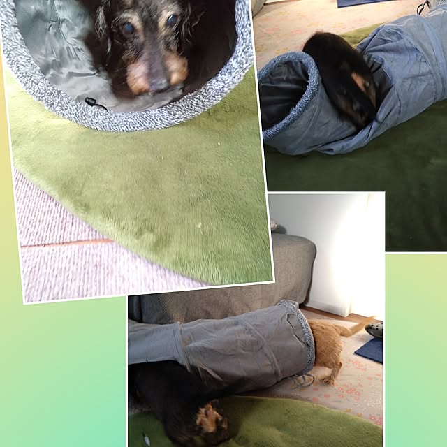 chocococoaさんの部屋