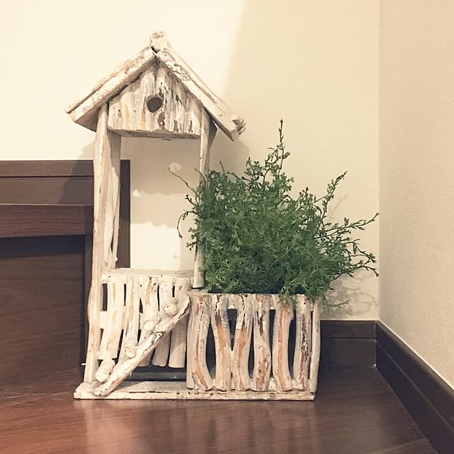 Masakoさんの実例写真
