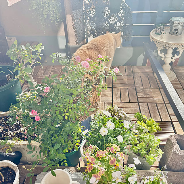 naokoさんの部屋