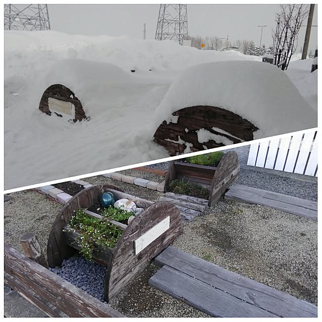 実例写真