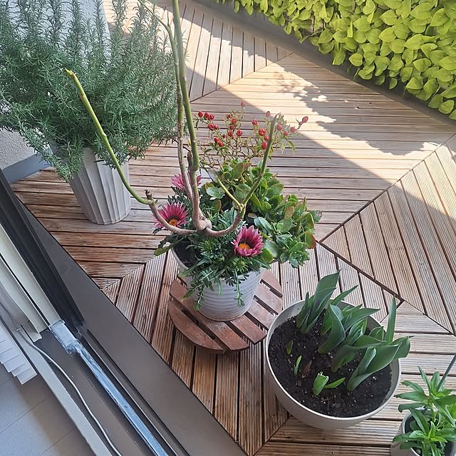 hakata-baさんの実例写真