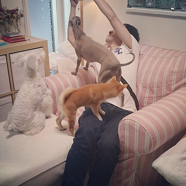suzyさんの実例写真