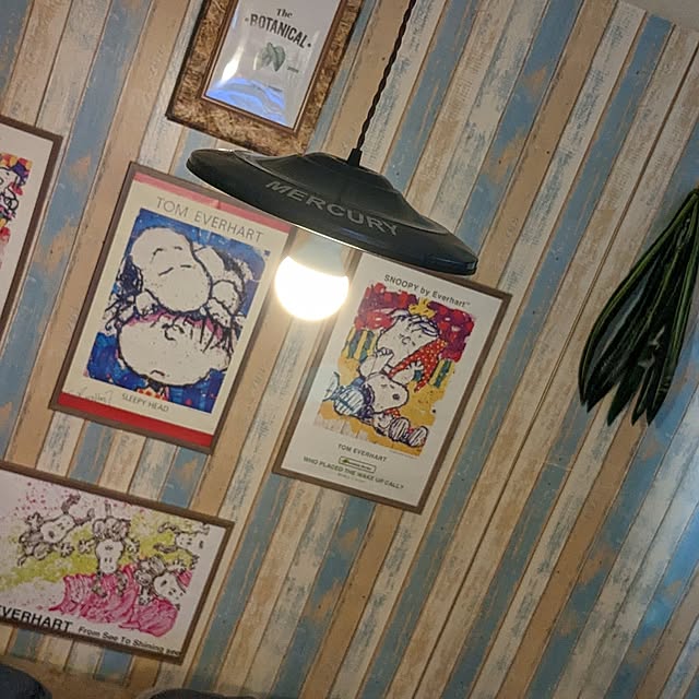 GINさんの部屋