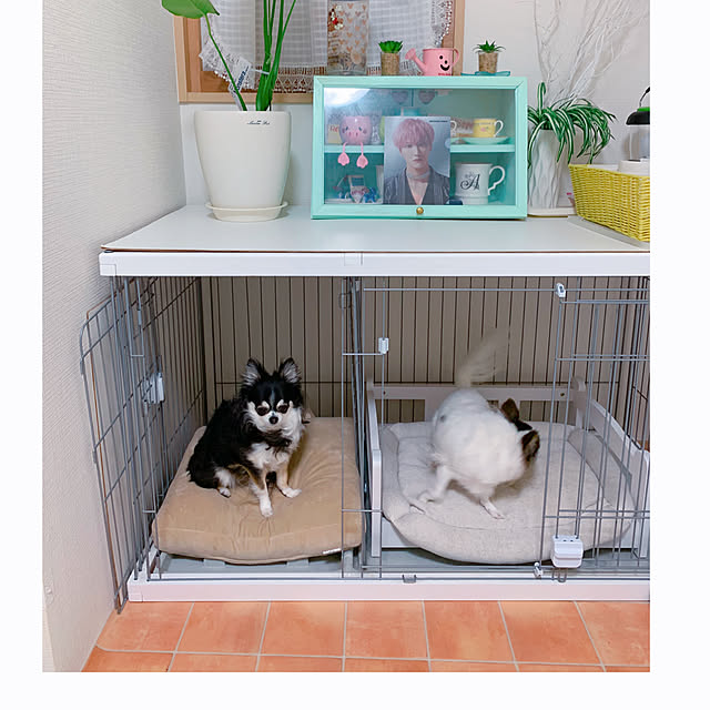makoさんの部屋